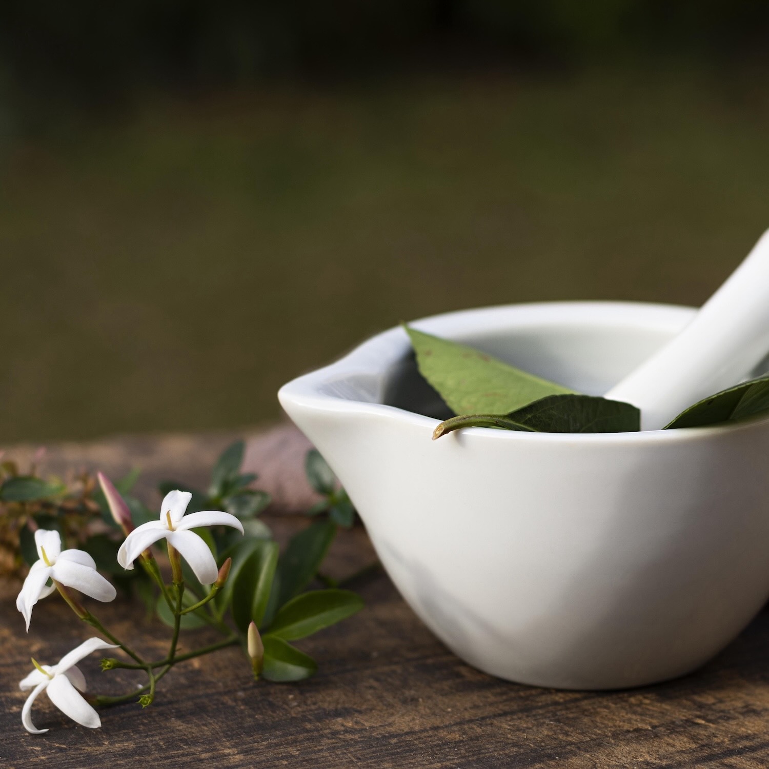 Phytothérapie, Pharmacie de Talmont, Talmont-Saint-Hilaire, Jard-sur-Mer, Avrillé
